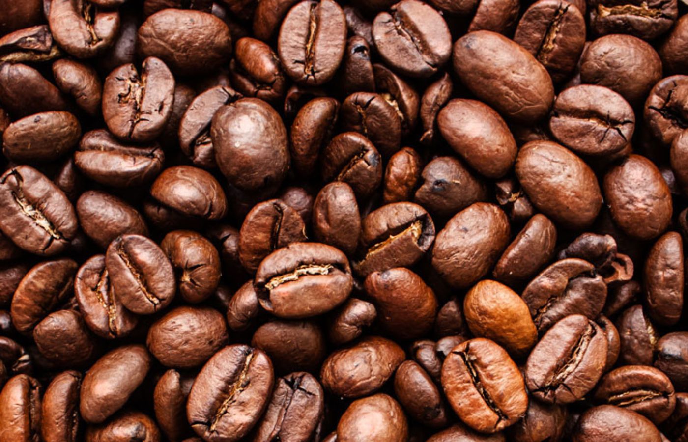 Coffee & Photography
