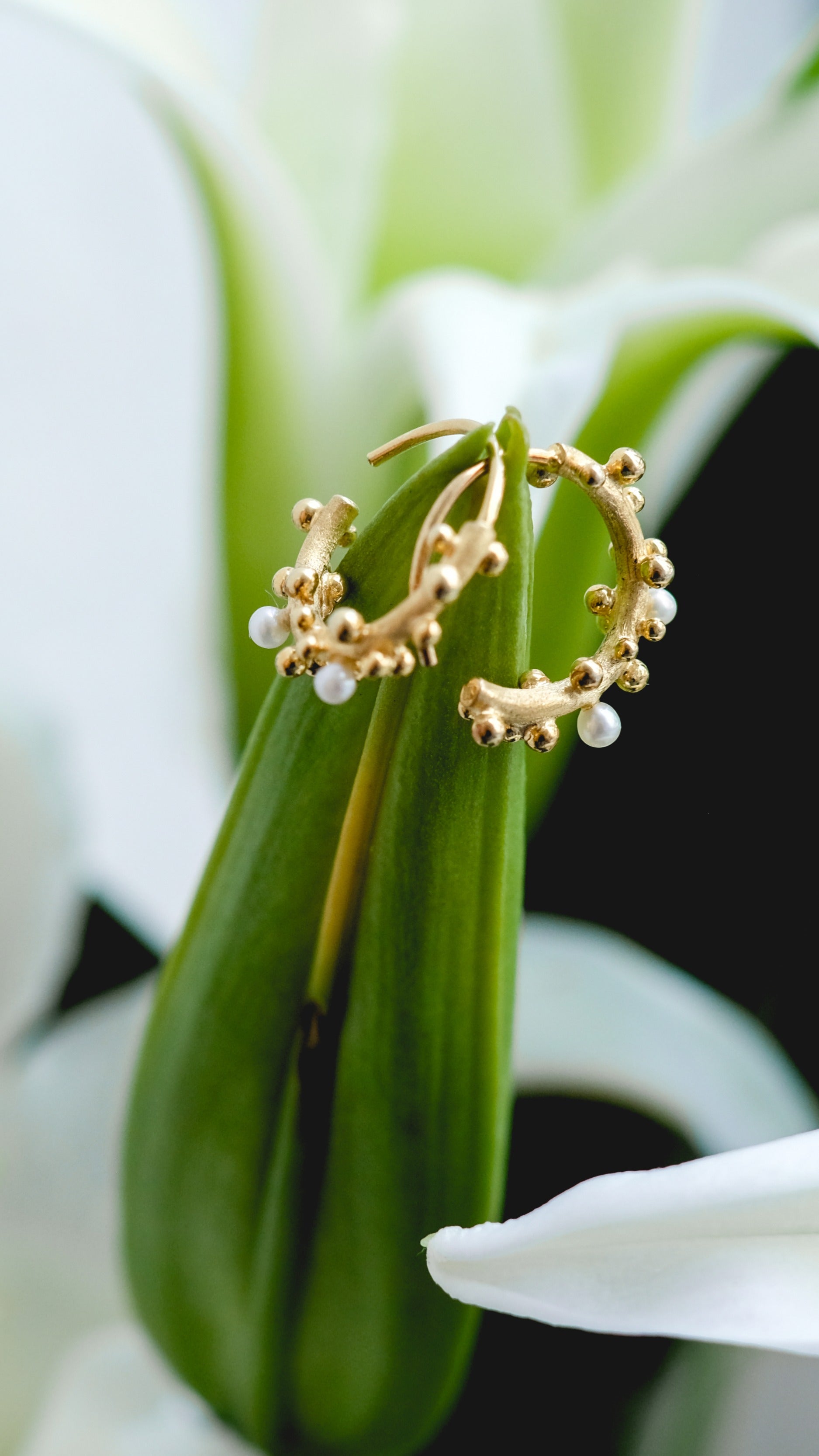 First Frost Earrings (Small)