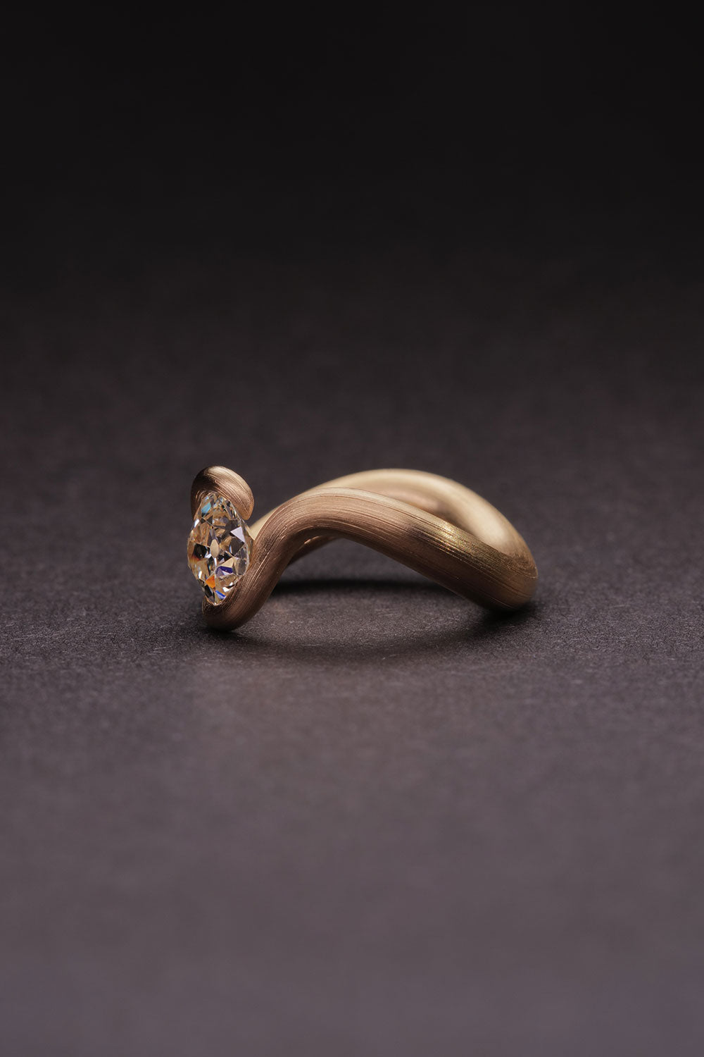 Leen Heyne Ring #55